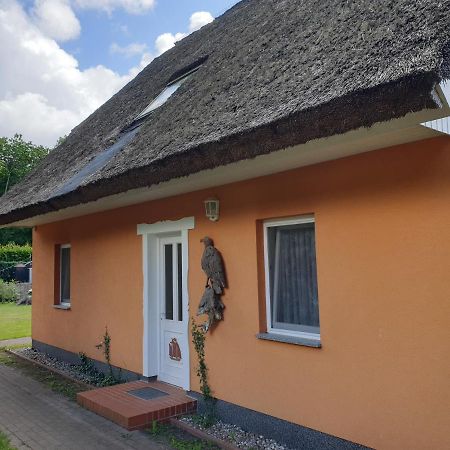 Buhne II Og Apartment Wieck Bagian luar foto